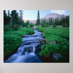 Poster HAUTE SAUVAGE DE L'UINTAS, UTAH. Fourche d'eau dou