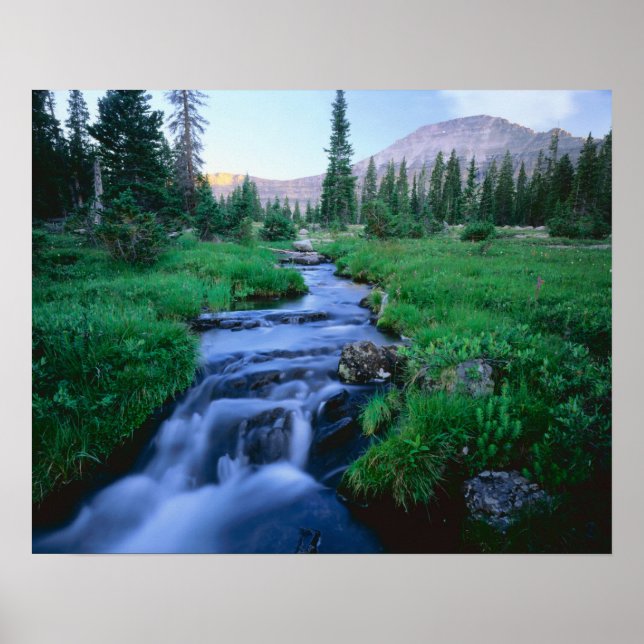 Poster HAUTE SAUVAGE DE L'UINTAS, UTAH. Fourche d'eau dou (Devant)