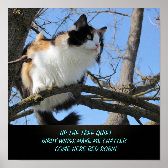 Poster Hauteur de l'arbre mème de chat calme Haiku (Devant)
