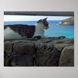 Poster Hawaii
