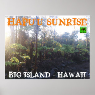 POSTER HAWAII, GRANDE ÎLE DE HAPU'U SLEVER