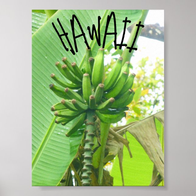 POSTER HAWAII NATURE (Devant)