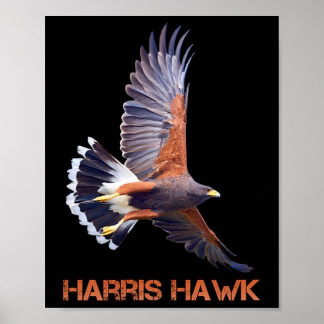 Poster Hawk Kamala Harris, Président (Devant)