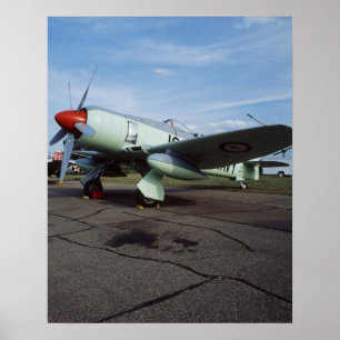 Poster Hawker Sea Fury au CAF, Minnesota Wing, au 2