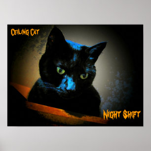 Poster He is still watching you at night