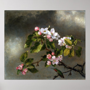Poster Heade - Colibri et Fleurs de Pommier