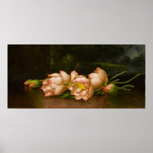 Poster Heade - Fleurs de Lotus