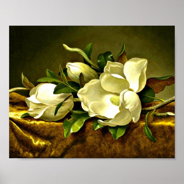 Poster Héade - Magnolias sur tissu velours or (Devant)