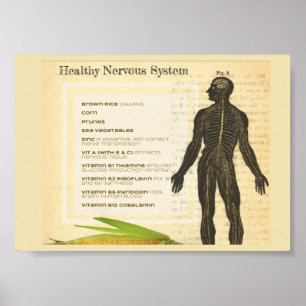 Poster Healthy Nervous System