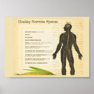 Poster Healthy Nervous System