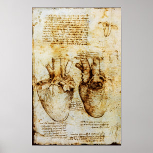 Poster Heart And Its Blood Vessels