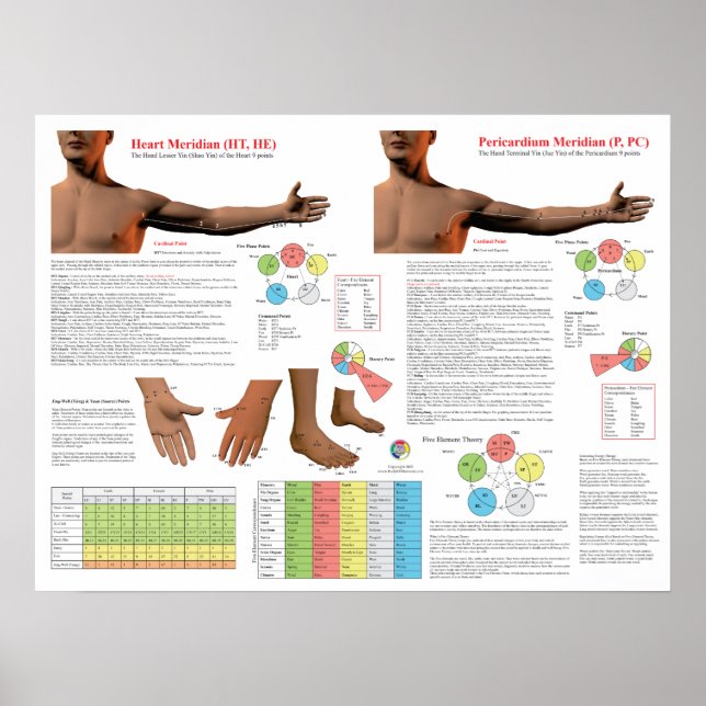 Poster Heart Meridian Acupuncture Points (Devant)