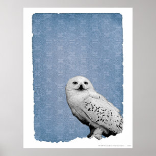 Poster Hedwige 2