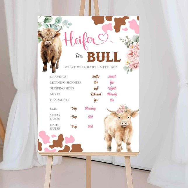 Poster Heifer ou Bull Cow Genre Révéler les vieilles hist (Créateur téléchargé)