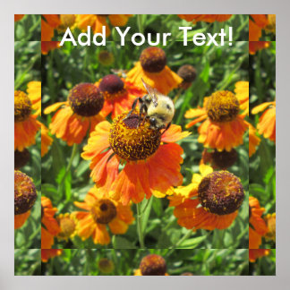 Poster Helenium Bee Orange Flower