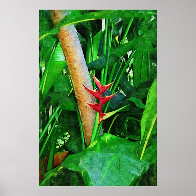 Poster Heliconia tropicale - Promenade dans le jardin (Devant)