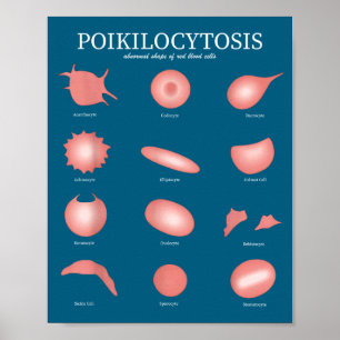 Poster Hématologie Laboratoire de globules rouges Science
