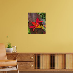 Poster Hémérocalle orange en fleurs et feuille de plante