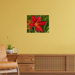 Poster Hemerocalle orange en fleurs Floral