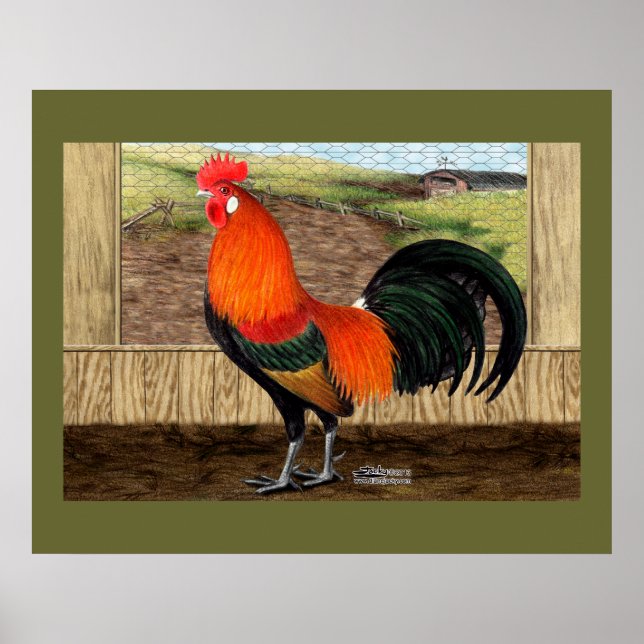 Poster Hen House Hero (Devant)