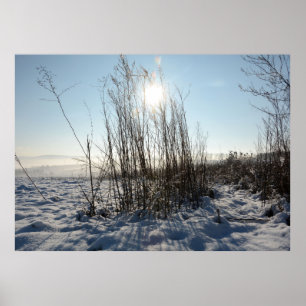 Poster Herbes d'hiver -