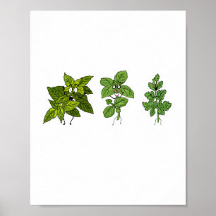 Poster Herbes, thème herbes