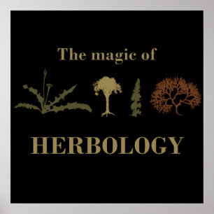 Poster herbologie