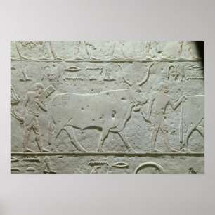 Poster Herdsman à la tête d'un taureau