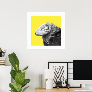 Poster Herdwick Ram en manteau Duffel (Retro Yellow)