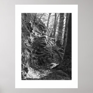 Poster Herdwick Sheep, Cumbria