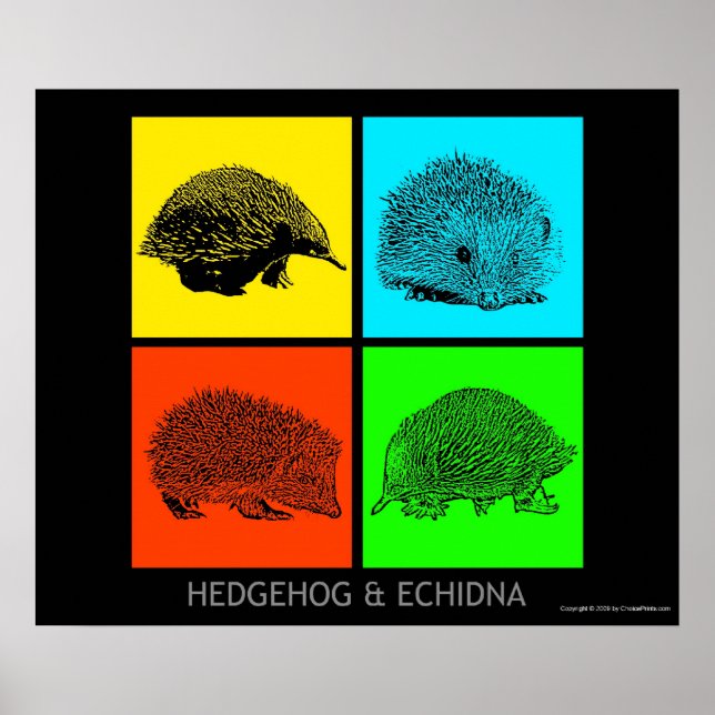 Poster Hérisson coloré et Echidna (Devant)