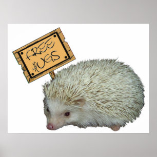 Poster Hérisson de Hugs Libres