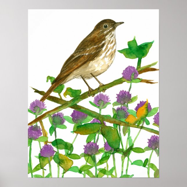 Poster Héritage d'oiseaux du Vermont Grotte (Devant)