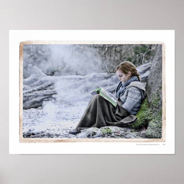 Poster Hermione 13 (Devant)