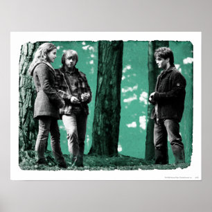 Poster Hermione, Ron et Harry 1