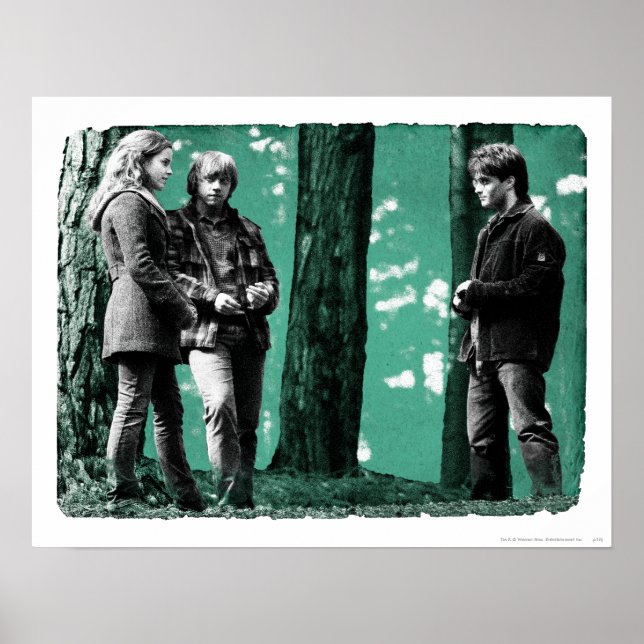 Poster Hermione, Ron et Harry 1 (Devant)