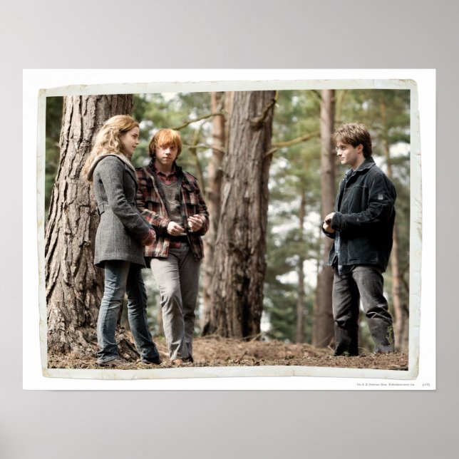 Poster Hermione, Ron et Harry 2 (Devant)