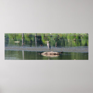 Poster Heron