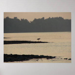 Poster Héron bleu sur le Mississippi au coucher du soleil