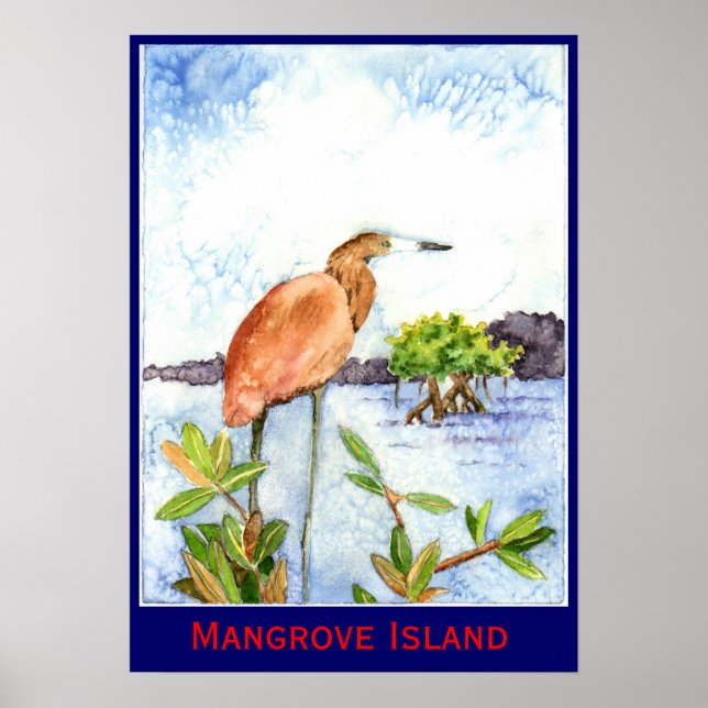 Poster Heron de l'île de Mangrove (Devant)
