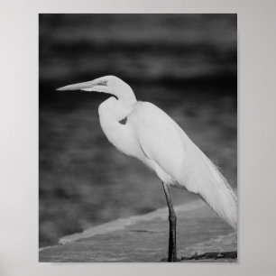 Poster Héron noir et blanc Tropical Printable Art