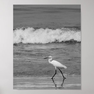 Poster Héron noir et blanc Tropical Printable Art