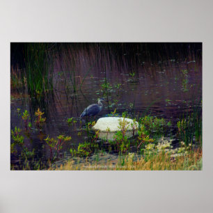 Poster Heron P6987