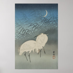 Poster Hérons blancs et lune, Ohara Koson