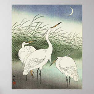 Poster Hérons en eau douce par Ohara Koson