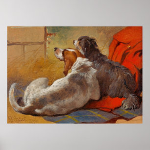 Poster Herring est une Hound et un Collie à hardes