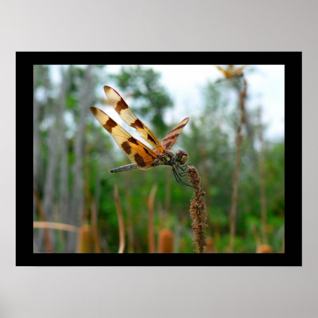 Poster Heure d'alimentation (Devant)