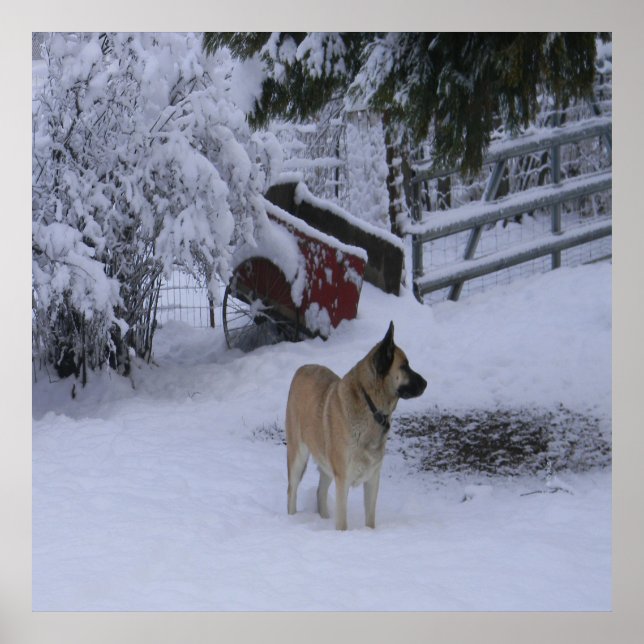 Poster Heure d'hiver.... (Devant)