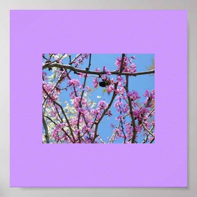 Poster Heure du printemps (Devant)