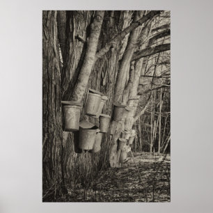 Poster Heure du sirop d'érable